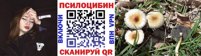 гидра рабочий сайт  дарнет шоп  Чкаловск  Псилоцибиновые грибы Psilocybe 
